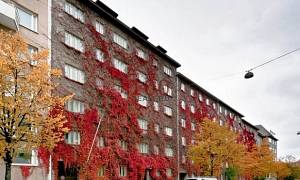 Хельсинки, Квартира